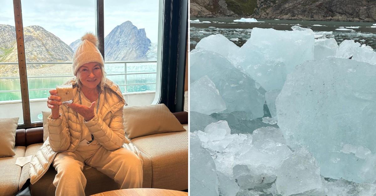 Martha Stewart Slammed For Using Greenland Iceberg For Cocktails