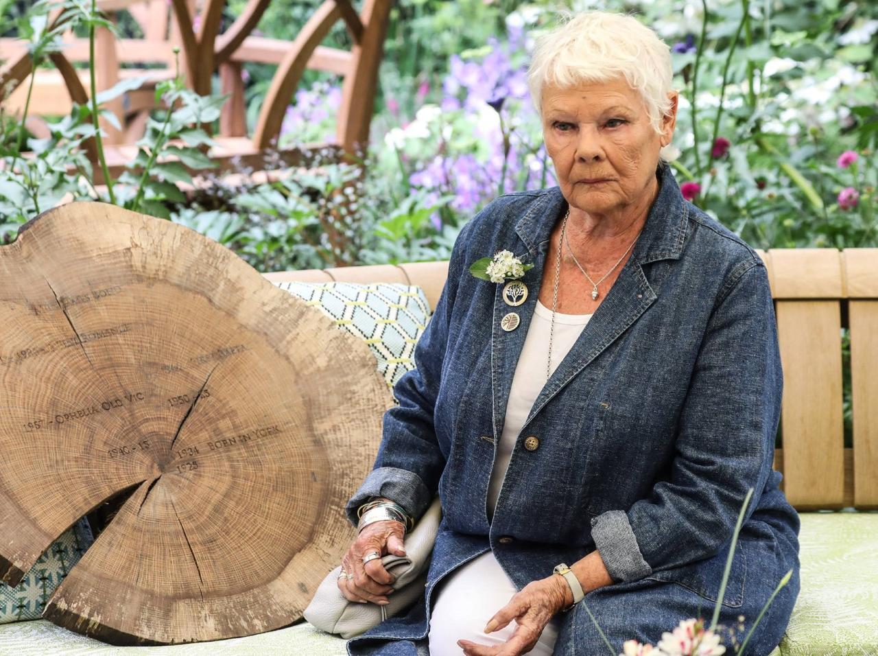 Judi Dench Accidentally FaceTimed 2 Actors While She Was Naked