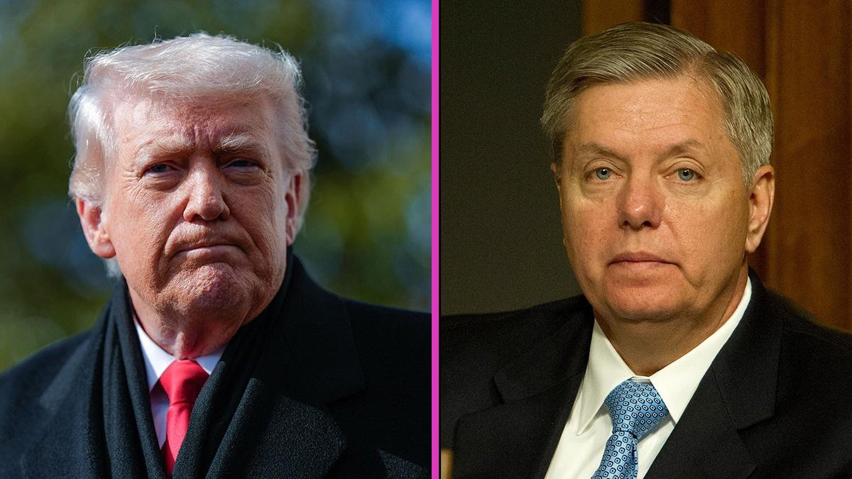 donald trump, lindsey graham