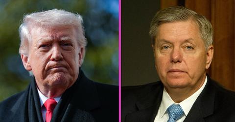 donald trump, lindsey graham