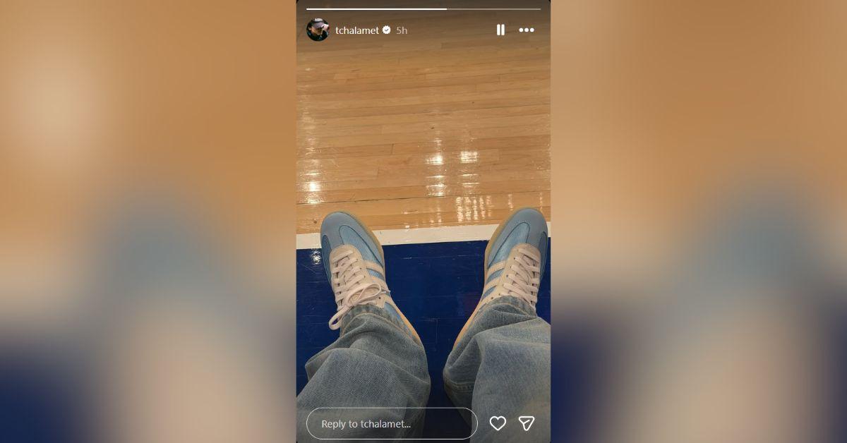 image of Timothée Chalamet skipped the 2026 Met Gala to attend a New York Knicks game instead.