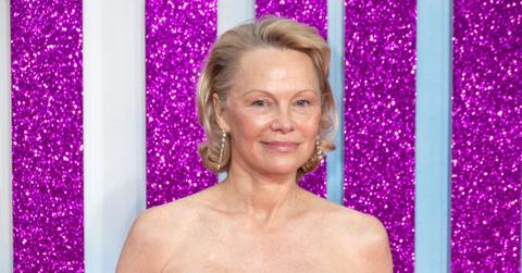 pamela anderson unforgettable rise to fame photos