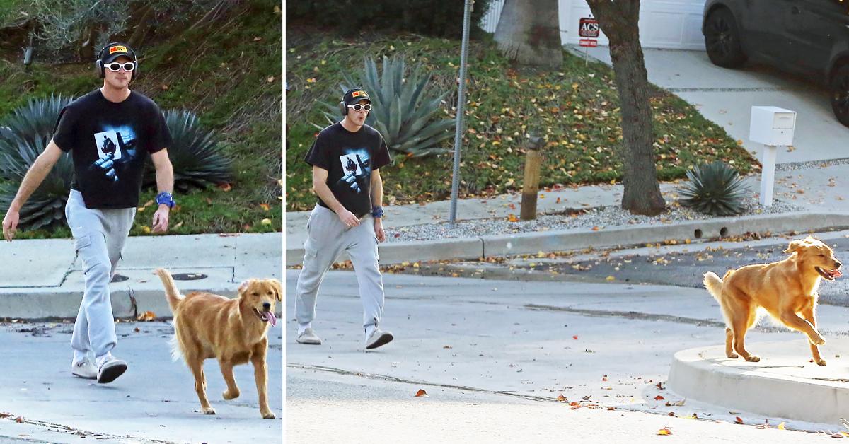 Jacob Elordi Spotted Walking His Dog In Los Angeles