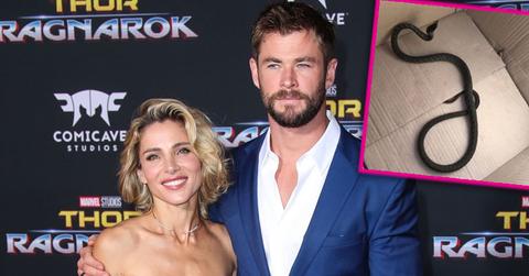chris hemsworth wife elsa pataky removes snake Australia home pp
