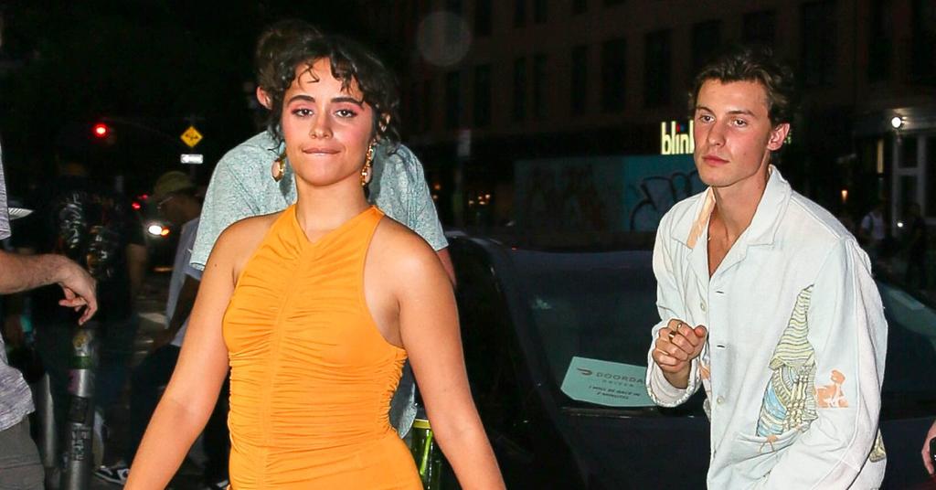 Shawn Mendes & Ex Camila Cabello Attend Miami Soccer Game After Split