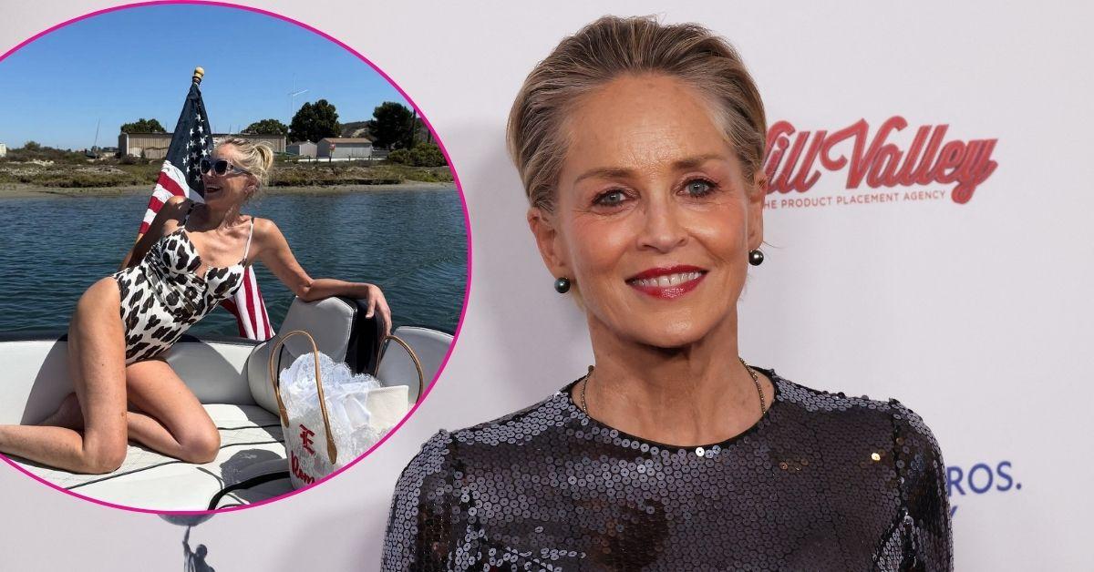 Sharon Stone Shows Off Her Bikini Body In Animal Print Swimsuit Photos Sharon Stone Shows Off Her Bikini Body In Animal Print Swimsuit Photos
