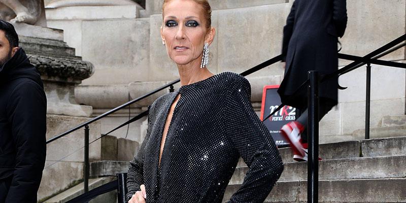 Celine Dion Blasts Body Shamers After Her Noticeable Weight Loss