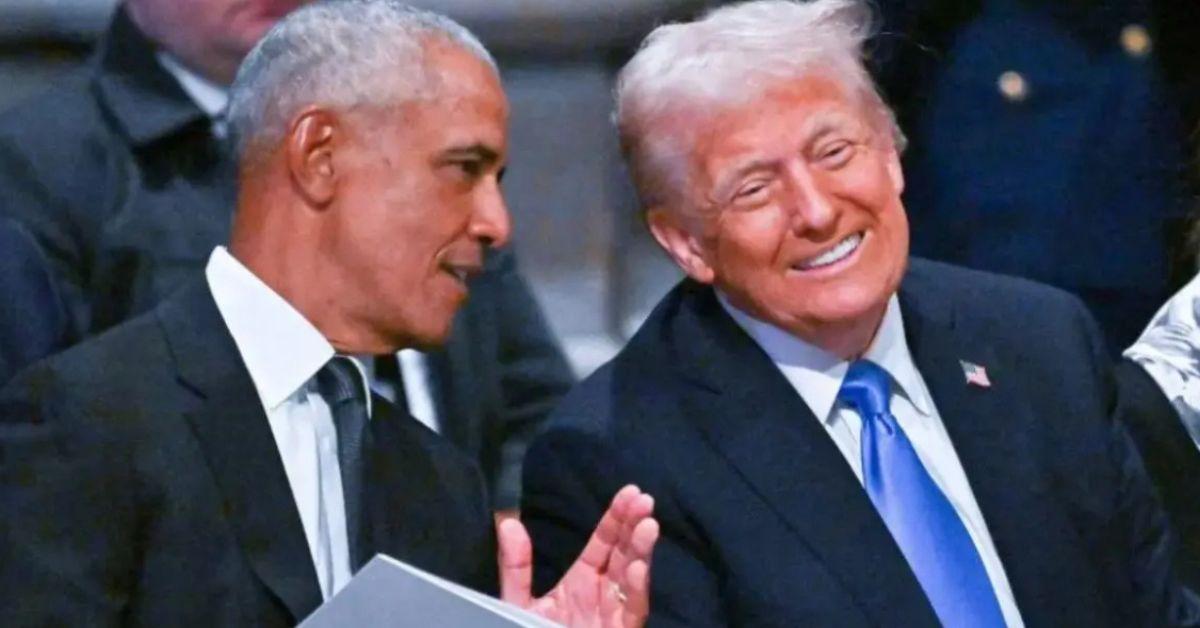 donald trump tulsi gabbard hottest person national intelligence director implicates barack obama in  election