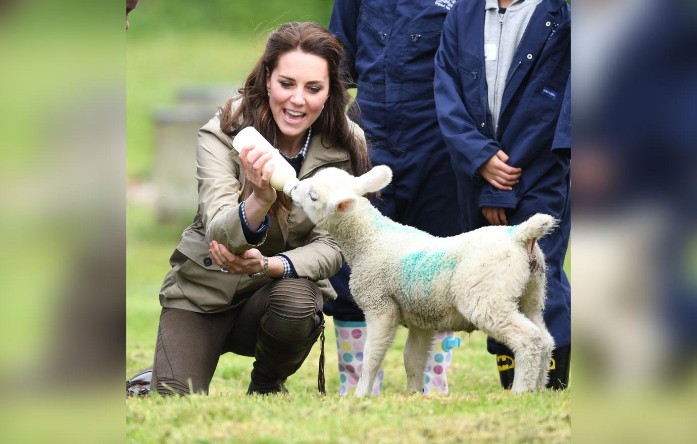 Kate Middleton Baby Lamb Photos 03 03