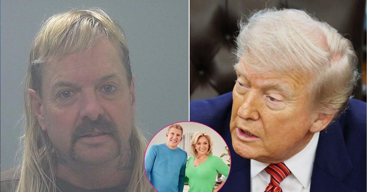 Composite photo of Joe Exotic, Todd Chrisley, Julie Chrisley and Donald Trump