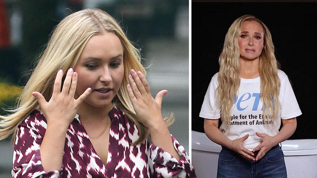 Hayden Panettiere