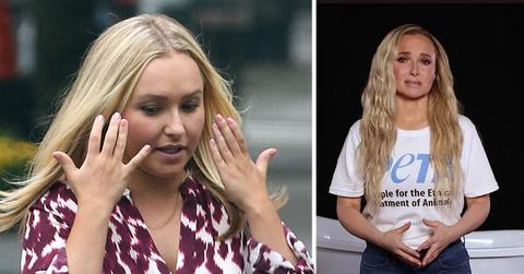 Hayden Panettiere