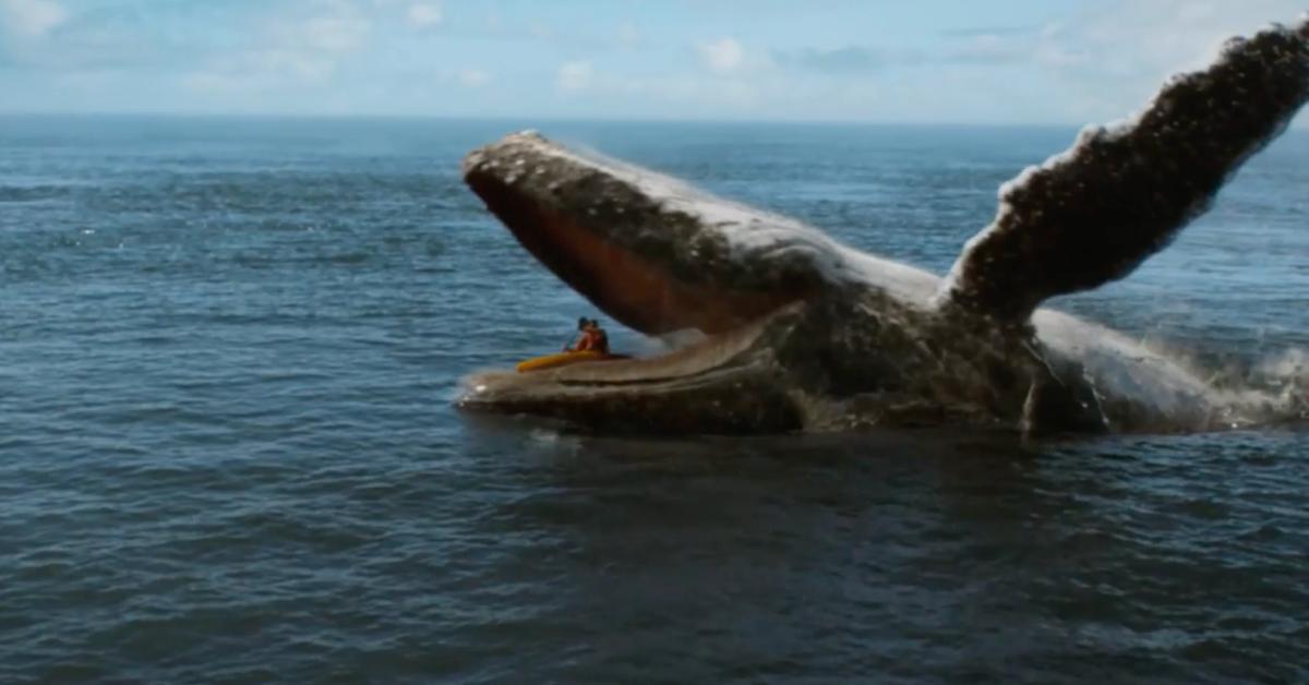 Image of Mark Consuelos' character gets swallowed by a whale while kayaking on '9-1-1.'