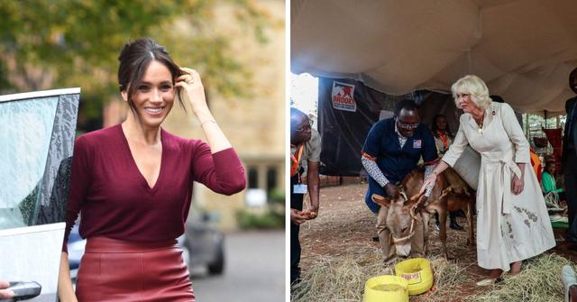 meghan markle will be livid queen camilla podcast after archetypes cancelation