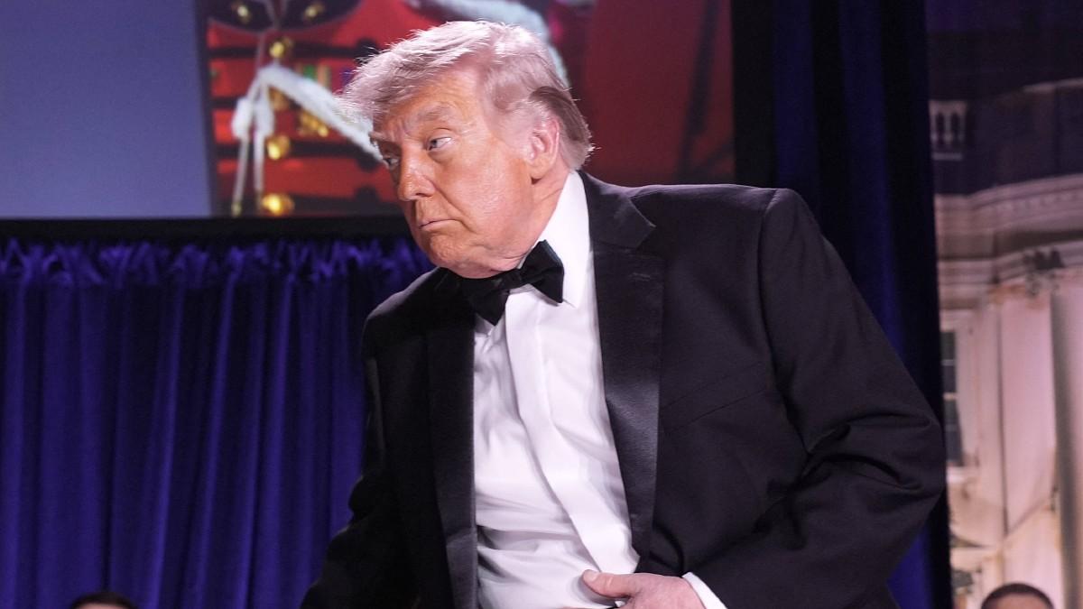 pic of Donald Trump. 