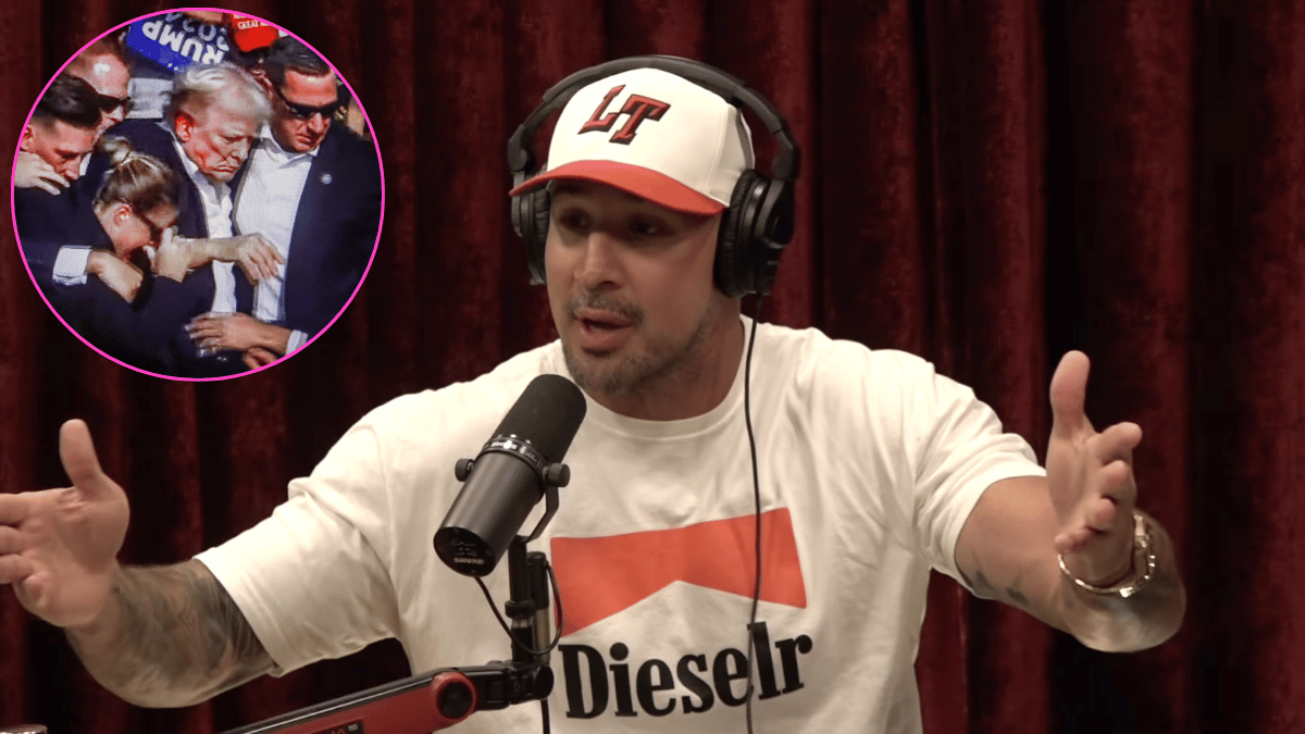 Brendan Schaub