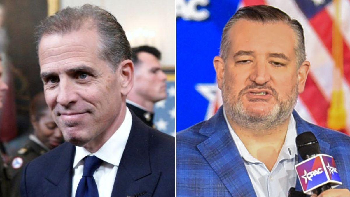 split image of Hunter Biden and Ted Cruz