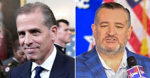 split image of Hunter Biden and Ted Cruz
