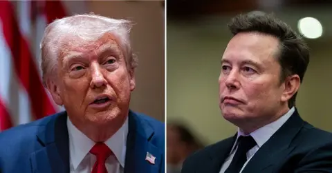 Composite photo of Donald Trump and Elon Musk