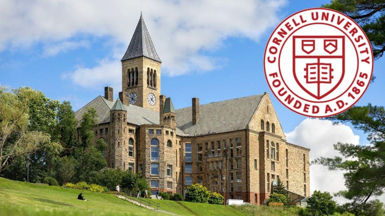 cornell case explained everything to know