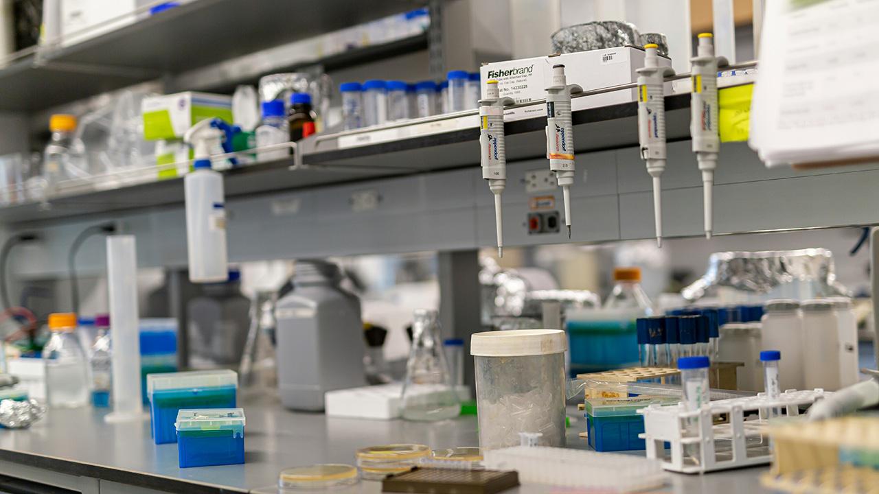 Image of DNA technology has revolutionized criminal justice and cold cases.