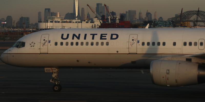 United airlines dead dog