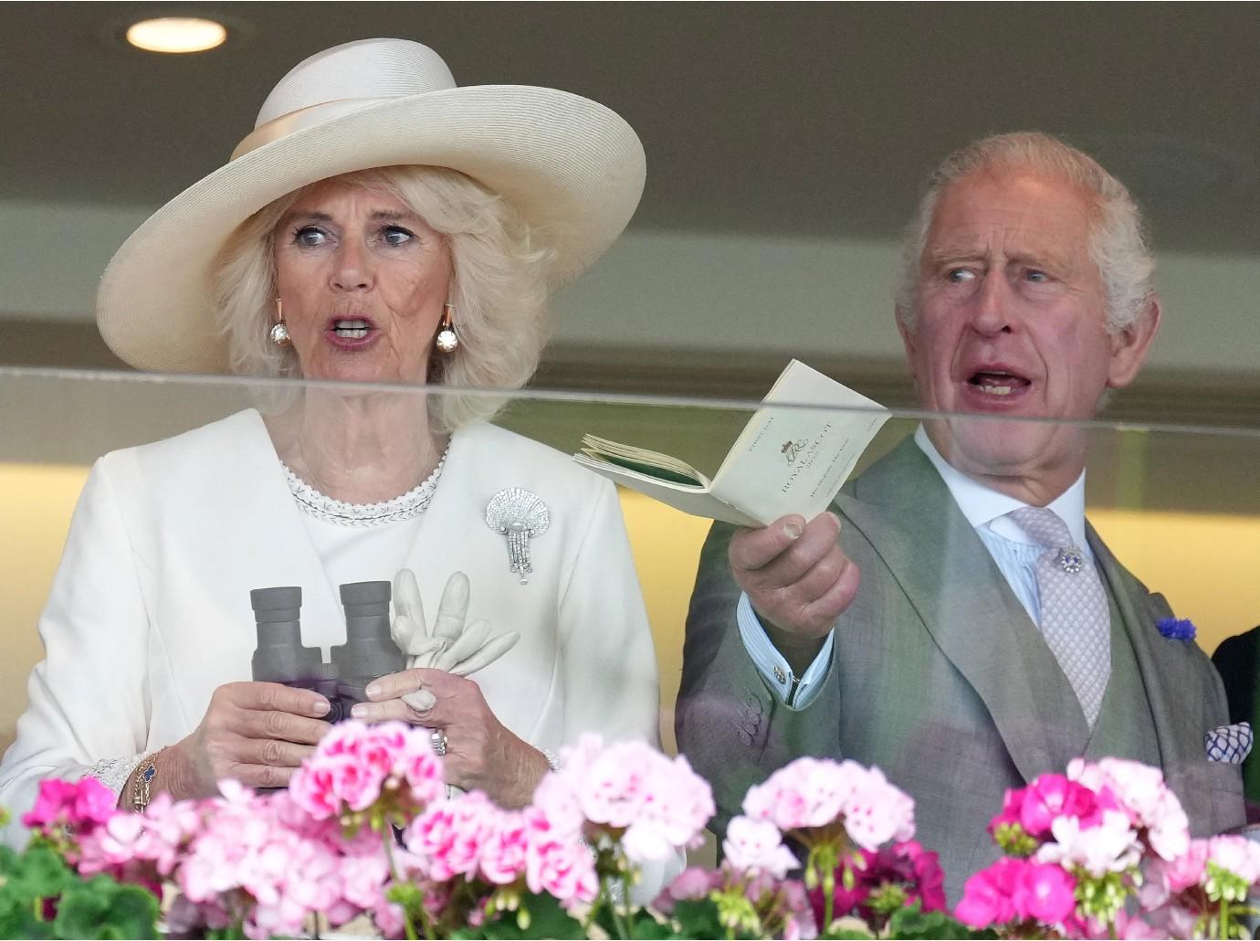 queen camilla told king charles prince harry meghan markle uncomfortable