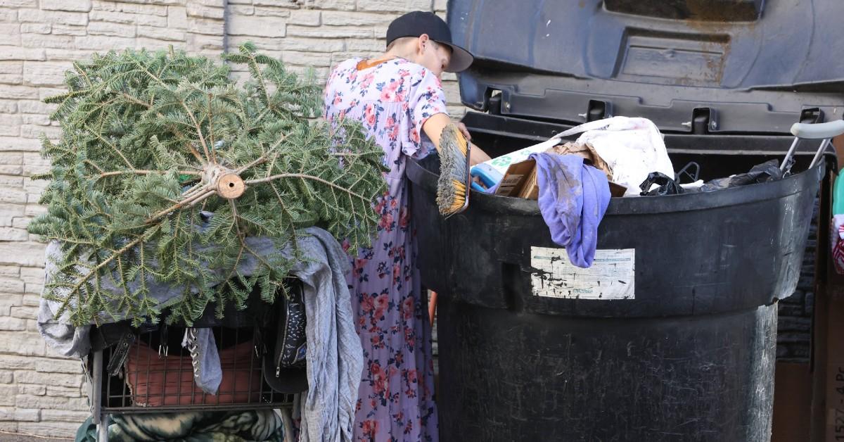 loni willison going through trash homeless