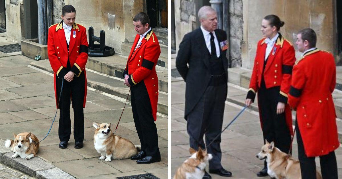 image of According to the book, a guest confronted Andrew over the alleged behavior toward the dog.