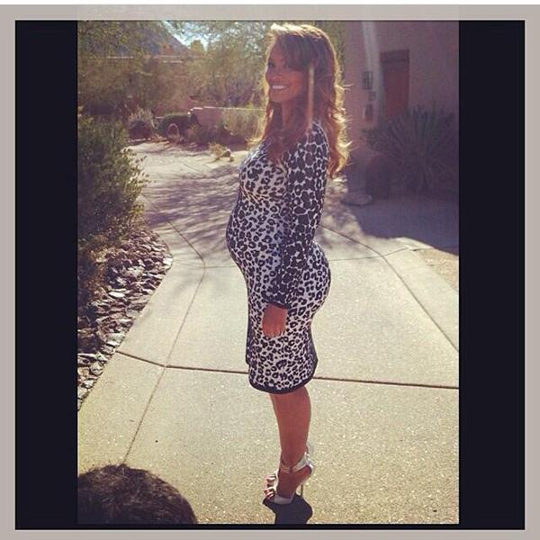 Reality Pregnant Evelyn Lozada