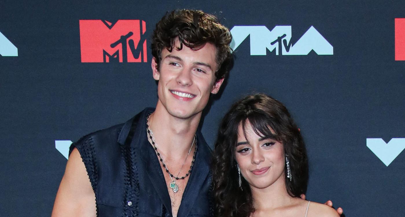 shawn camila public eye split