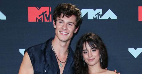 shawn camila public eye split