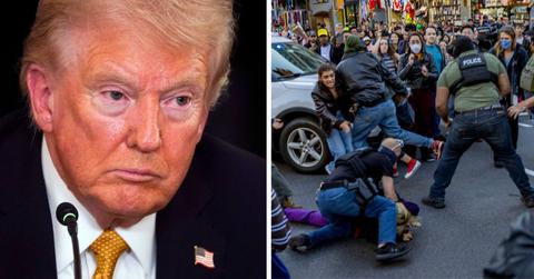 donald trump, ice raids in new york city