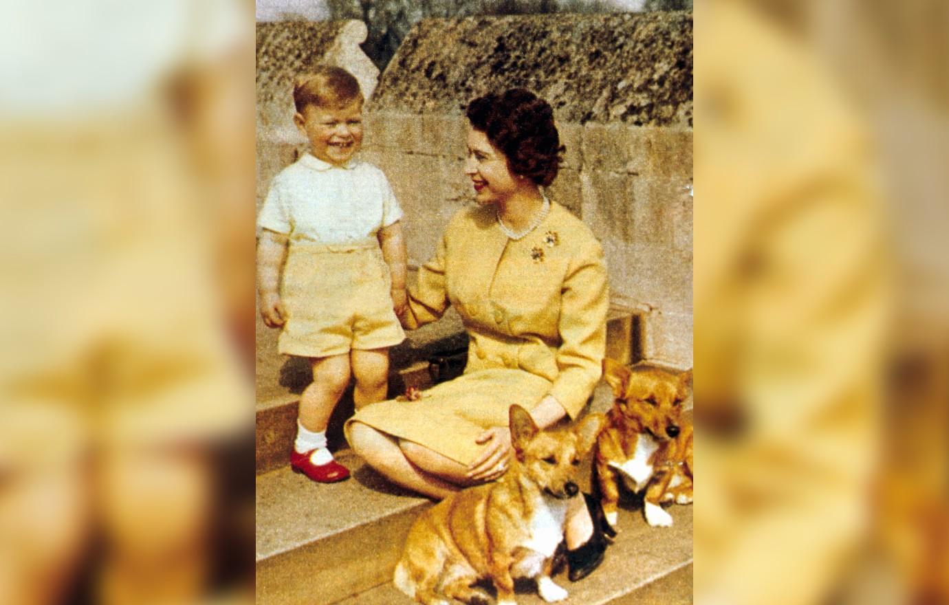 prince andrew queen elizabeth corgis