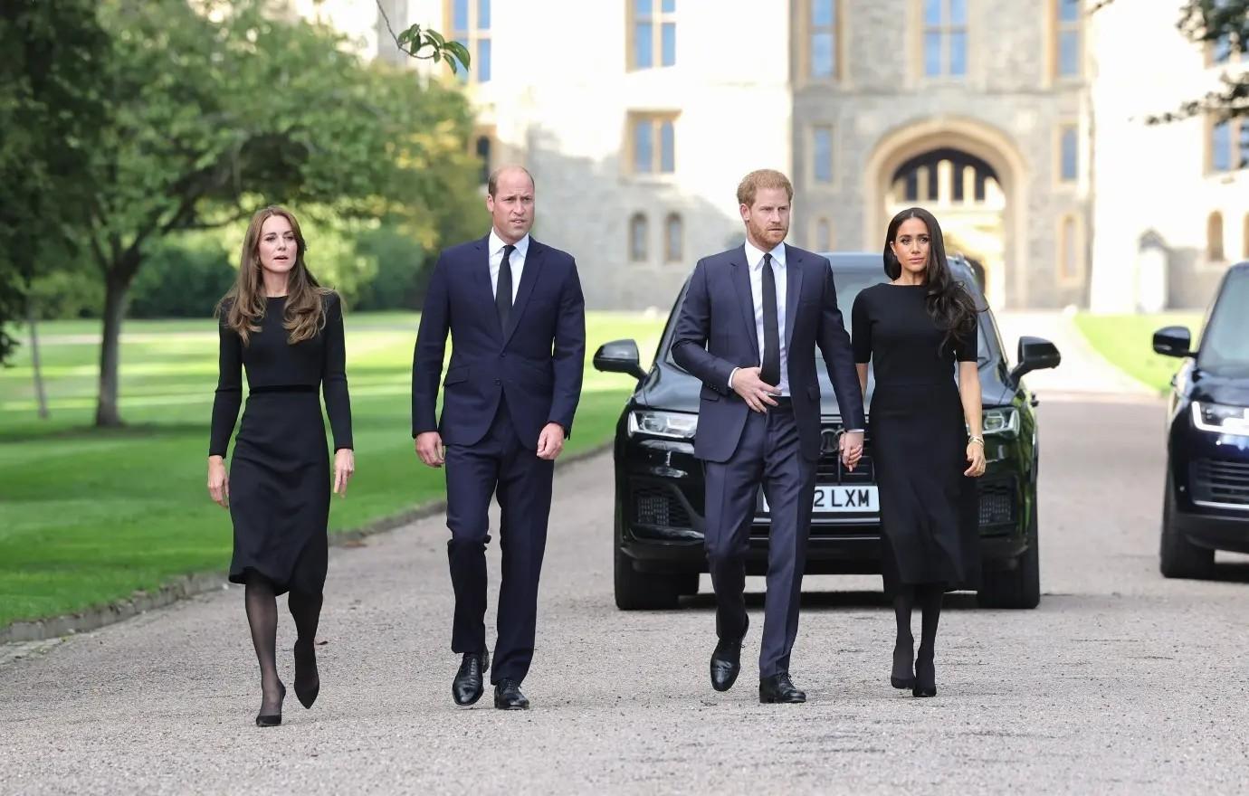 princew iwilliam harry wives