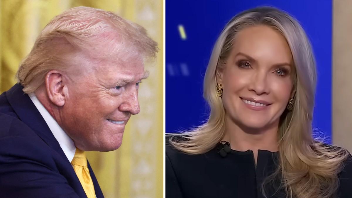 split of Dana Perino and Donald Trump. 