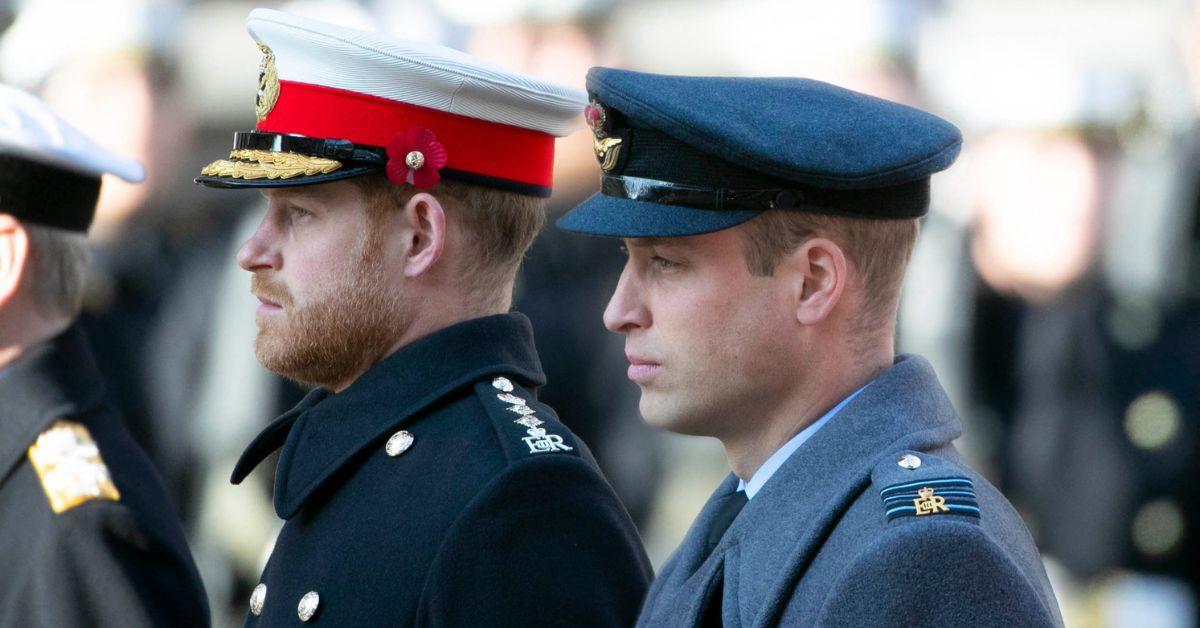 prince william and prince harry