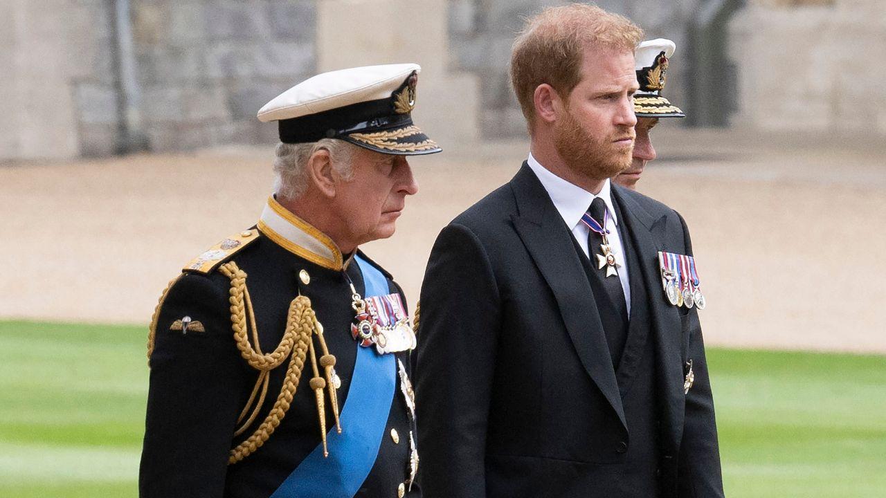 image of prince harry and King Charles 
