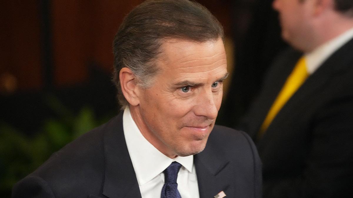 Image of 'Does America belong to a family?' Hunter Biden asked.