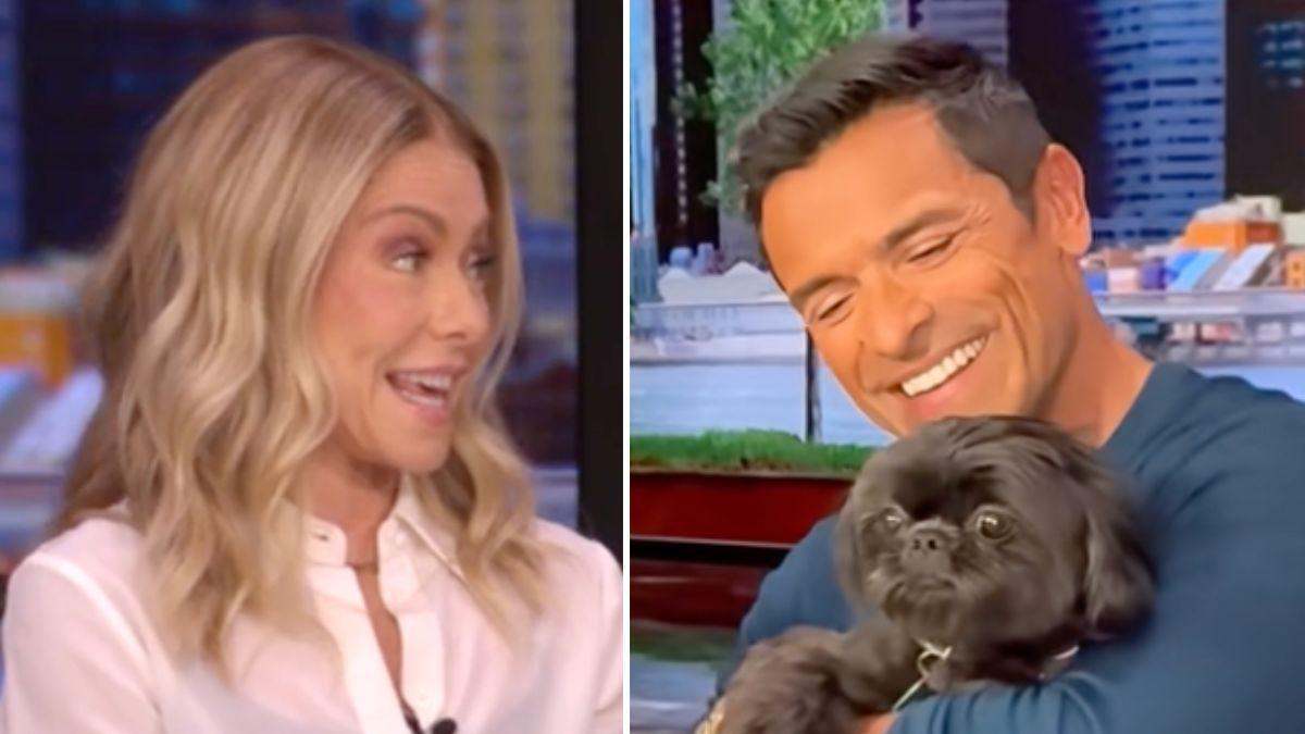 Split photo of Kelly Ripa, Mark Consuelos and their dog Lena.