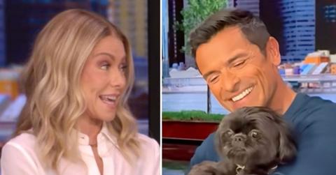 Split photo of Kelly Ripa, Mark Consuelos and their dog Lena.