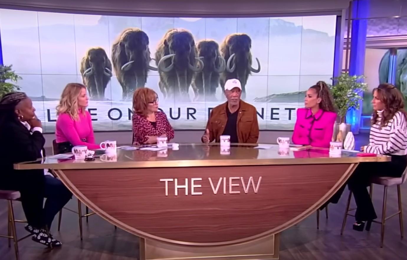 the view slammed cutting morgan freeman interview short