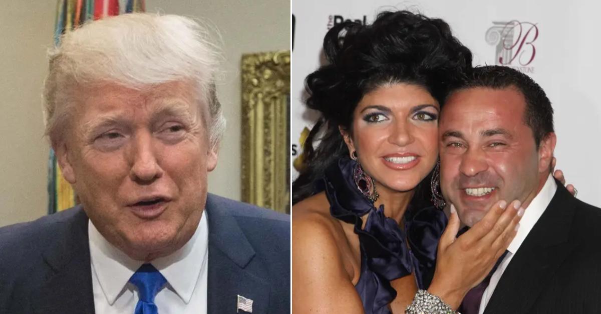 joe giudice savannah chrisley donald trump pardon todd julie prison