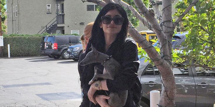 Kylie jenner locks dogs up house hr
