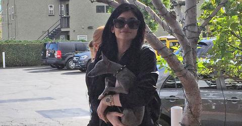 Kylie jenner locks dogs up house hr