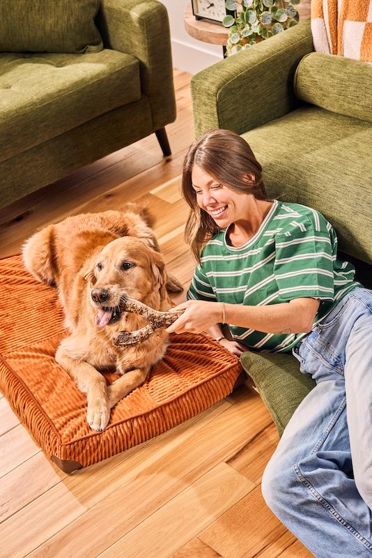 honestchew meaty lifestyle