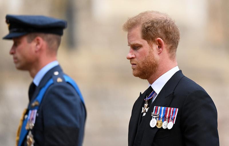 prince harry king charles speaks out cancer