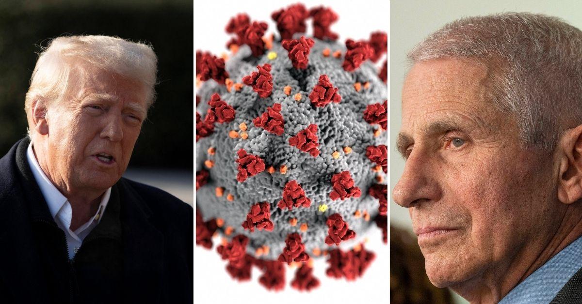 Composite photo of Donald Trump, Covid-19 and Dr. Anthony Fauci