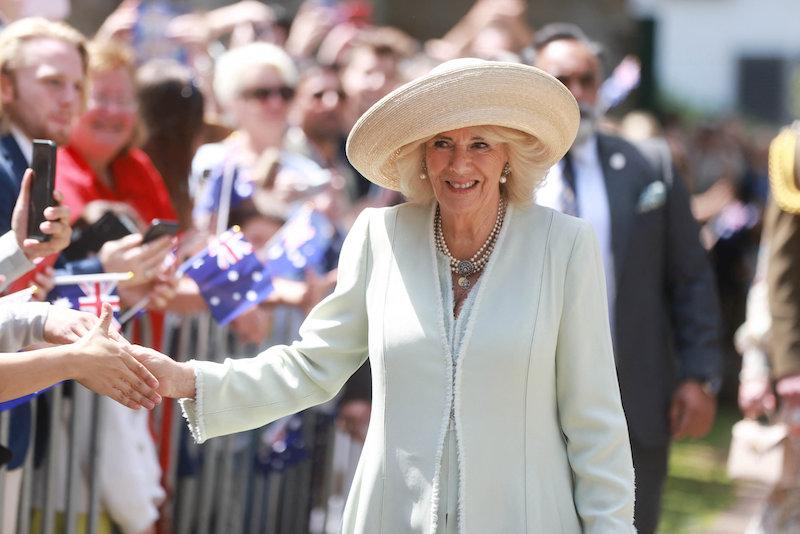 queen camilla chest infection