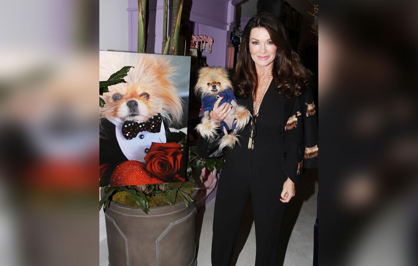 The Opening of The New Vanderpump Dogs Rescue Center